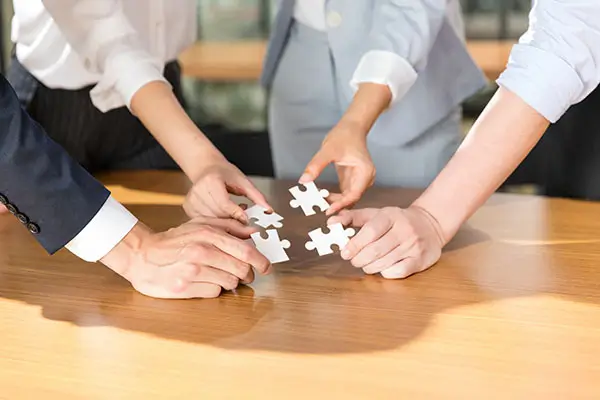 企业怎么查纳税汇总