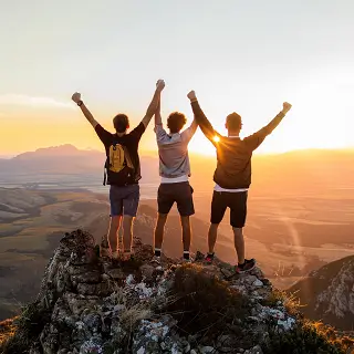 企业交税查询怎么查询