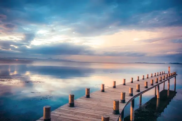 天眼查怎么取消企业