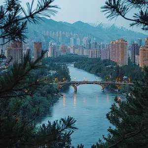 企业怎么知道解散了