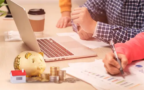 政府企业融资怎么填